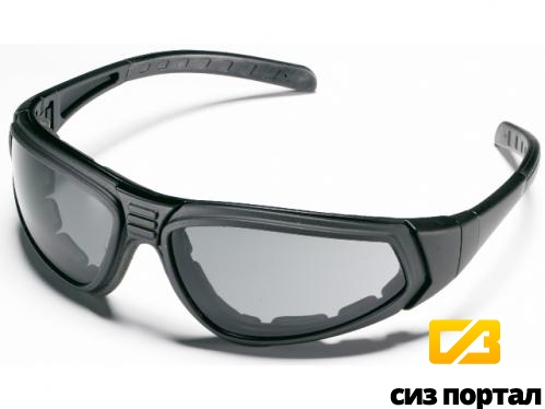 Купить Защитные очки ZEKLER 80