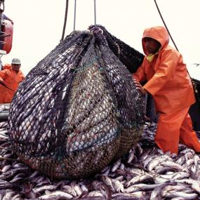 Спецодежда для промышленного лова рыбы, крабов и прочих морепродуктов